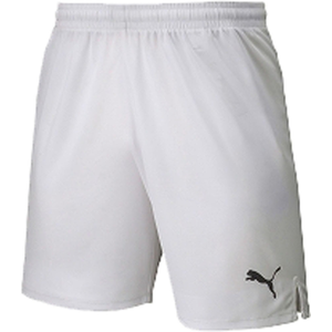 �v�[�}�b�W���j�A LIGA �Q�[���p���c�i�v�[�}�z���C�g/�v�[�}�u���b�N�E�T�C�Y�F160�j�bPJ-729972-04-160