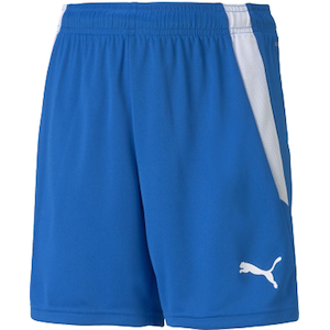 �v�[�}�b�W���j�A TEAMLIGA �Q�[���p���c�i�G���N�g���b�N�u���[�E�T�C�Y�F120�j�bPJ-705145-02-120