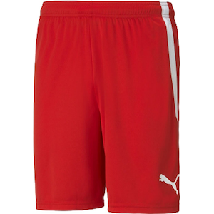 �v�[�}�b�����Y TEAMLIGA �Q�[���p���c�i�v�[�}���b�h�E�T�C�Y�FM�j�bPAJ-705151-01-M