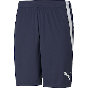 �v�[�}�b�����Y TEAMLIGA �Q�[���p���c�i�s�[�R�[�g�E�T�C�Y�FL�j�bPAJ-705151-06-L
