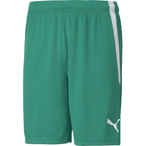 �v�[�}�b�����Y TEAMLIGA �Q�[���p���c�i�y�b�p�[�O���[���E�T�C�Y�FS�j�bPAJ-705151-05-S