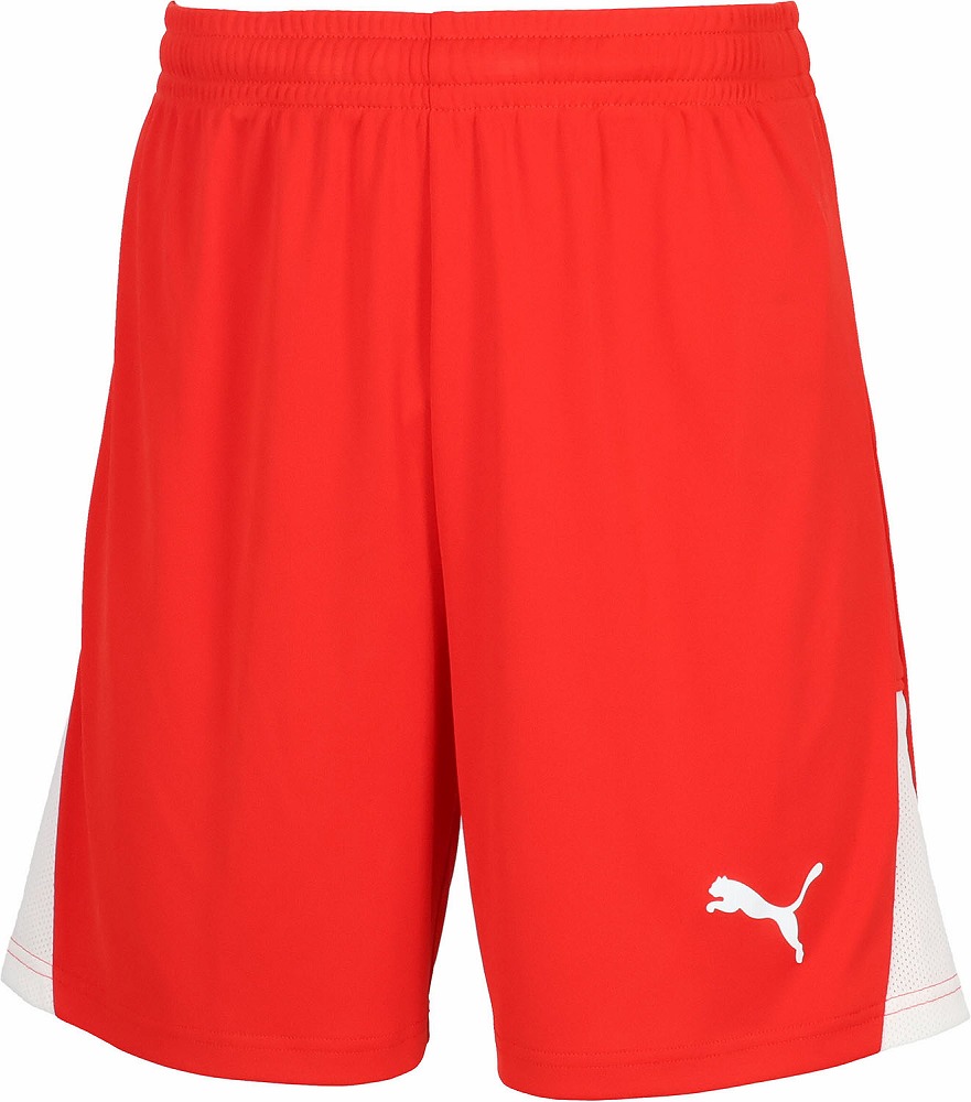TEAMLIGA ショーツ（PUMA Red・サイズ：XXL） | プーマ | PJ-707346-01