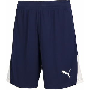 �v�[�}�bTEAMLIGA �V���[�c�iPUMA Navy�E�T�C�Y�FXL�j�bPJ-707346-06-XL