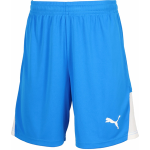 �v�[�}�bTEAMLIGA �V���[�c�iElectro Royal�E�T�C�Y�FM�j�bPJ-707346-02-M