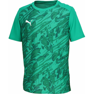 �v�[�}�bTEAMFINAL �O���t�B�b�N �Q�[���V���c�iSport Green-PUMA White-Power Green�E�T�C�Y�FM�j�bPJ-707334-05-M