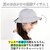 BACKYARD FAMILY(obN[ht@~[)bgAhx`[ TYO-045iJ[L fB[XM(58cm)jbBF014074-1A-2D