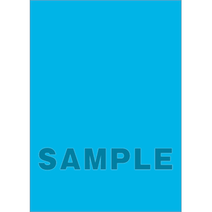 �u���b�R���[�b�V���b�t���}�X�^�[ �X�^���_�[�h�T�C�Y�i���C�g�u���[�j�bBSM-006 ����ް�޻��� ײ���ٰ