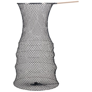 ���h�b�C��ޖx�p�r�N�@��a80cm(��)�b656-2