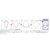���h�b�E���g���t���[�� �� Ver.2 40cm(���b�h)�b820