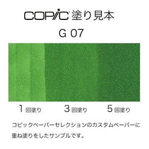 �R�s�b�N�b�R�s�b�N�X�P�b�` G07(�i�C���E�O���[��)�b10235007