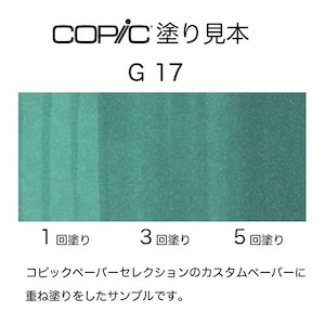 �R�s�b�N�b�R�s�b�N�X�P�b�` G17(�t�H���X�g�E�O���[��)�b10235107