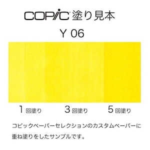 �R�s�b�N�b�R�s�b�N�X�P�b�` Y06(�C�G���[)�b10239006