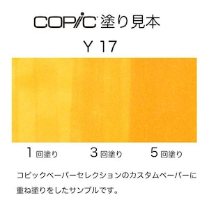 �R�s�b�N�b�R�s�b�N�X�P�b�` Y17(�S�[���f���E�C�G���[)�b10239107