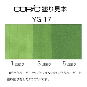 �R�s�b�N�b�R�s�b�N�X�P�b�` YG17(�O���X�E�O���[��)�b10240107