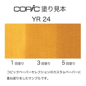 �R�s�b�N�b�R�s�b�N�X�P�b�` YR24(�y�[���E�Z�s�A)�b10241204