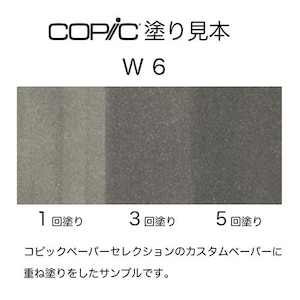 �R�s�b�N�b�R�s�b�N�X�P�b�` W-6(�E�H�[���O���[No.6)�b10214006