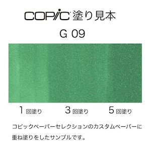 �R�s�b�N�b�R�s�b�N�X�P�b�` G09(���F�l���[�[�E�O���[��)�b10235009