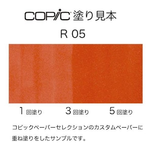 �R�s�b�N�b�R�s�b�N�X�P�b�` R05(�T�[�����E���b�h)�b10236005