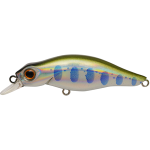 こまち F45 Lym2 ヤマメ Joshin Webショップ 通販 ジャクソン コマチ F45 Lym2 ヤマメ こまち F45 Lym2 ヤマメ Joshin Webショップ 通販 ジャクソン コマチ F45 Lym2 ヤマメ