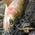 �o���o�X�b�X�[�p�[�g���E�g �A�h�o���X �}�b�N�X�p���[PE X8 150m(0.8��/�ő�16.7lb)�b���߰�׳� �����ݽ ϯ����ܰPE X8 150m(0.8�޳/16.7lb)