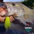 �o���o�X�bVARIVAS �o�X�i�C���� 150m �X�e���X�O���[(4��/16lb)�bVARIVAS �޽Ų�� 150m (4�޳/16lb)