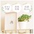 BACKYARD FAMILY(�o�b�N���[�h�t�@�~���[)�b���G�} �C���e���A�O���[�� KU�|�b�g(�N���}�`�X.SR�|�b�g)�bBF013392-1A-2L