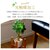 BACKYARD FAMILY(�o�b�N���[�h�t�@�~���[)�b���G�} �C���e���A�O���[�� KU�|�b�g(�N���}�`�X.SR�|�b�g)�bBF013392-1A-2L