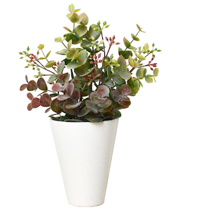 BACKYARD FAMILY(�o�b�N���[�h�t�@�~���[)�b���G�} �C���e���A�O���[�� KU�|�b�g(�t�H�[�����[�J��.SR�|�b�g)�bBF013392-1A-2N