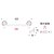 �S�[���L�A�C�����h�b�^�I���o�[ 36 PB CR�b640731