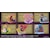 ���[�����g�b�y1�z�V���Y���� �f���G�������X�^�[�Y DESKTOP COLLECTION 2�bճ�޵� �޽�į�ߺڸ���2