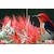 Pixio�b�s�N�V�I�b���o�C���t���f�B�X�v���C(15.6�^/IPS/FullHD 1920�~1080/60Hz/8ms/HDR10/MiniHDMI/USB Type-C/2�N�ۏ�)(�z���C�g)�bPX160WAVEW-O