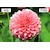 Pixio�b�s�N�V�I�b�y�p�b�P�[�W�s�ǁz�Q�[�~���O�t���f�B�X�v���C(23.8�^/�Ȗʌ^/Fast VA/FullHD 1920�~1080/200Hz/1ms/HDR10/HDMI2.0/DP1.4/VESA/2�N�ۏ�)(�u���b�N)�bPXC248WAVE-O