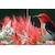 Pixio�b�s�N�V�I�b���o�C���t���f�B�X�v���C(15.6�^/IPS/FullHD 1920�~1080/60Hz/8ms)�i�u���[�j�bPX160WAVEB-O