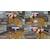 �f�B�[�X���[�E�p�u���b�V���[�b�ySwitch�z������ �O���[�g�~�b�V�����bHAC-P-BGRHA NSW ĳ����� ���-�Я���