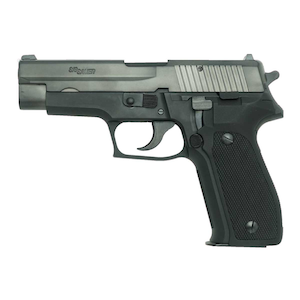 �^�i�J���[�N�X�bSIG P226 Early type EVO2 frame HW�bSIG P226 Early type EVO2 frame HW