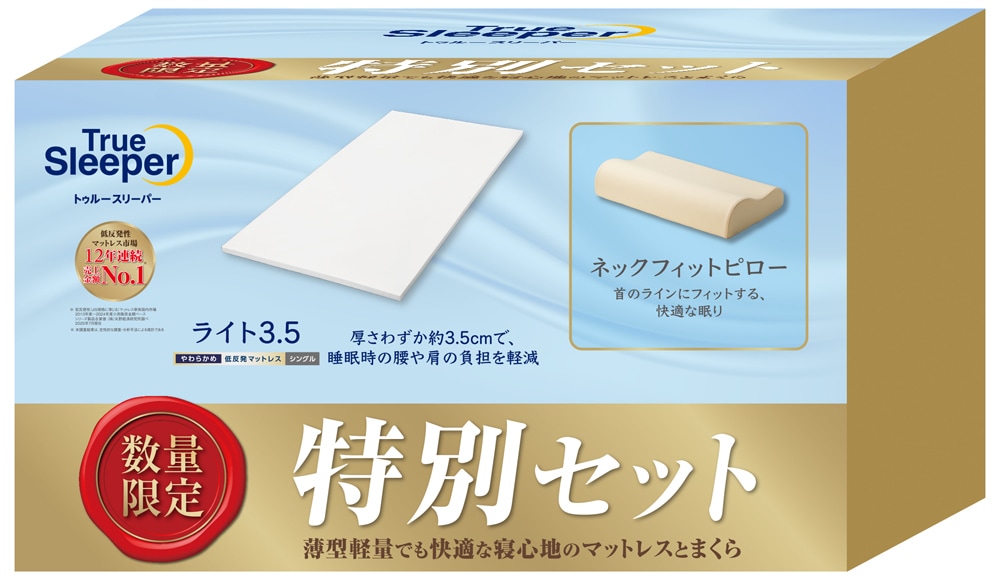 トゥルースリーパー 特別セット （低反発マットレス と 低反発枕 の