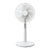 Coconir�b�y��@�zDC���[�^�[���� �n�C�|�W�V������i�}�b�g�z���C�g�j�bCCN-HPF1-IV