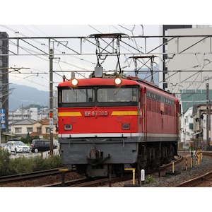 トミックス｜【再生産】(N) 9182 JR EF67-100形電気機関車 (更新車)｜ﾄﾐｯｸｽ 9182 EF67-100ｺｳｼﾝ