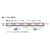 �g�~�b�N�X�b�y�Đ��Y�z(N) 98491 JR 2700�n���}�f�B�[�[���J�[��{�Z�b�g(3��)�b�Я�� 98491 JR 2700��į����ި���� ���3R
