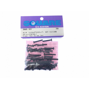 スチールヘックスビスセット タミヤWR-02CB用【SWR-46】