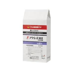 �V���W�F���^�b������ �A�N�V�YMX1�L������ 1kg�bSJ-2056552