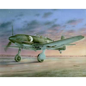 1/32 独ハインケルHe100D-1 ”He113プロパガンダ部隊”【SH32009N】