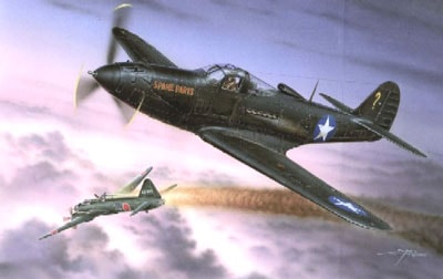 ハセガワ1/48「P-400エアコブラ」完成品 Amazon | ハセガワ 1/48 P-400 エアラコブラ | プラモデル 通販