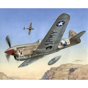 1/72 米・カーチスP-40Fウォーホーク ショートテール アフリカ戦【SH72155n】【在庫処分】