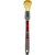 SIGNET�b�f�B�e�[���u���VS �E���g���\�t�g �u���V�a16mm�b45638