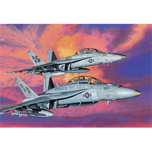 VFA-195 F/A―18C ホーネット ソリッドモデル（ハセガワ 1/48 F/A