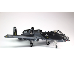 1/48 アメリカ空軍 攻撃機 A-10C サンダーボルトII "ブラックスネーク"【TPA-7】