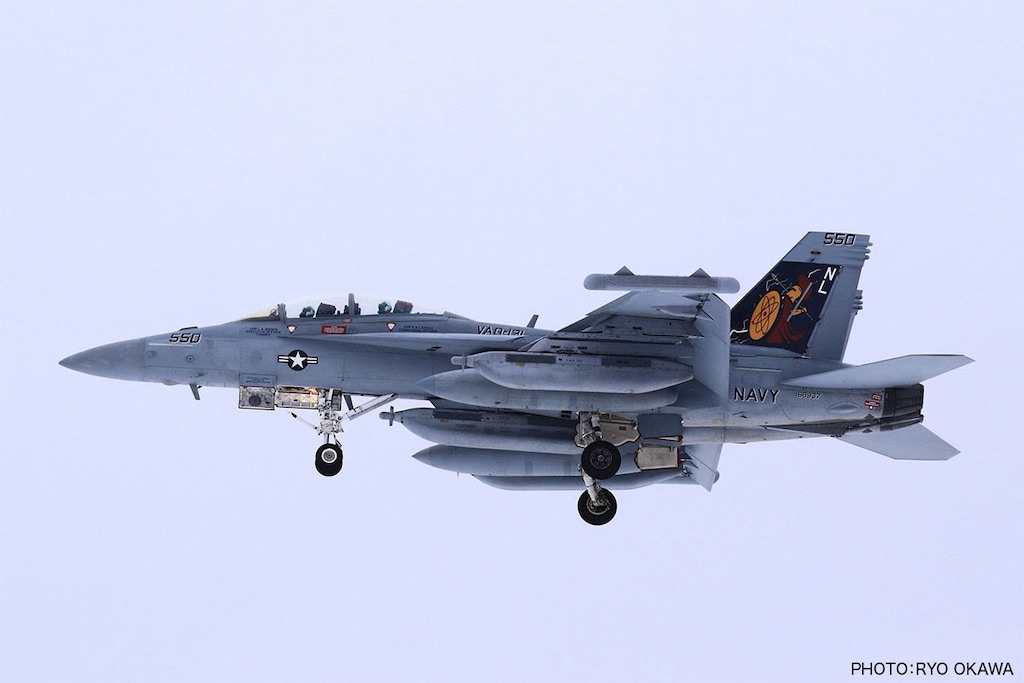 1/48 アメリカ海軍 電子戦機 EA-18G グラウラー 三沢基地 VAQ