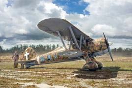プラモデル　1/32 ドイツ空軍 フィアット CR.42 LW [32021] Amazon.co.jp: ICM 1/32 ドイツ空軍 フィアット CR.42 LW