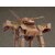 �}�b�N�X�t�@�N�g���[�b�y�Đ��Y�z1/72 COMBAT ARMORS MAX21 �A�r�e�[�g F44B �e�L�[���K���i�[�i���z�̉� �_�O�����j�b�����ı-�-21 ÷�׶��Ű